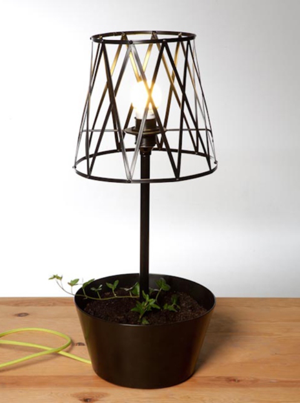 ‘Green’ lamp for a fresh interior ‘Green’ lamp for a fresh interior