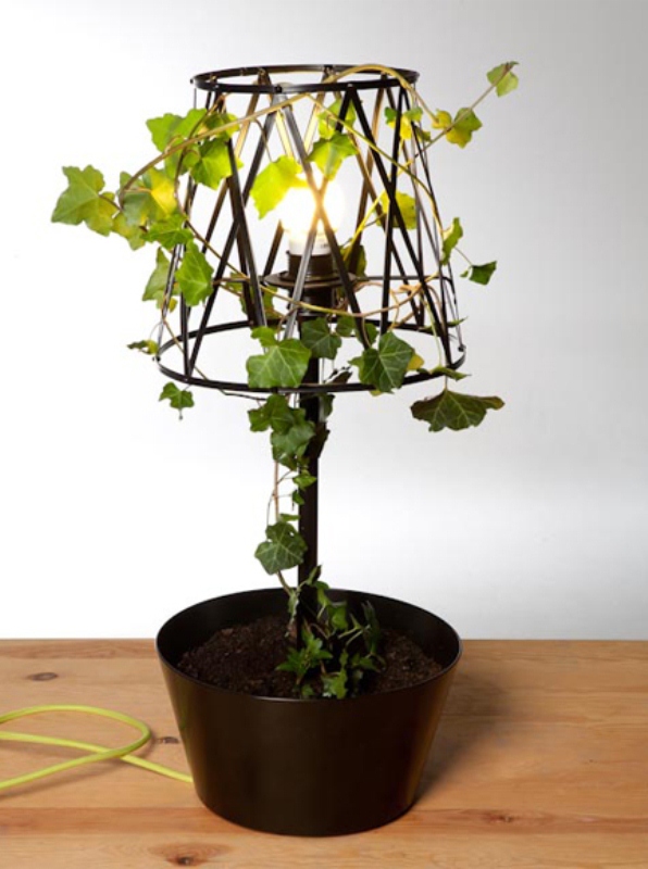 ‘Green’ lamp for a fresh interior ‘Green’ lamp for a fresh interior