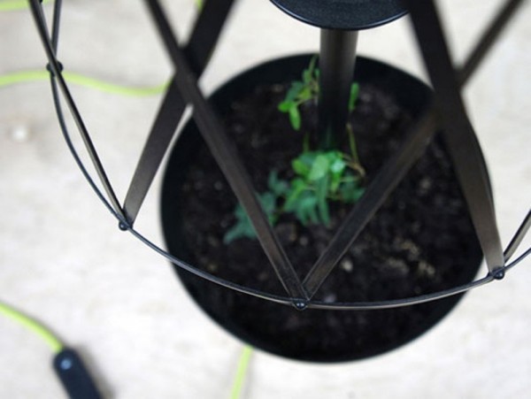 ‘Green’ lamp for a fresh interior ‘Green’ lamp for a fresh interior