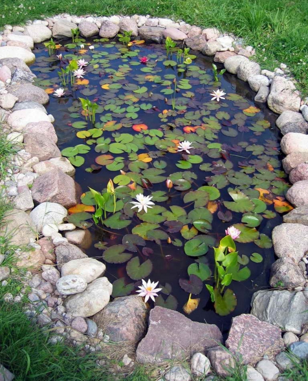 How to Build a Pond in Your Backyard - Adorable Home