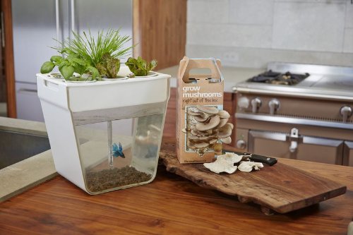 Hydroponics self-cleaning fish tank – Adorable Home