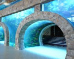 Top class aquariums (15)