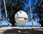 The amazing Cocoon Tree Tent