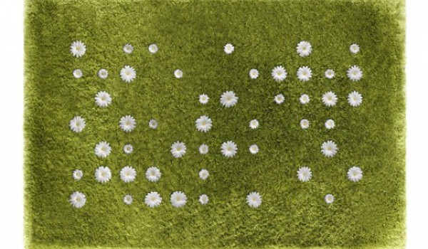 The Daisy Garden Rug – invite spring in your home