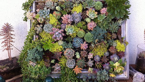 DIY vertical succulent garden DIY vertical succulent garden