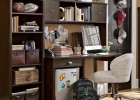 Unique teenage study room designs (5)