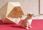 Contemporary geometric DIY doghouse
