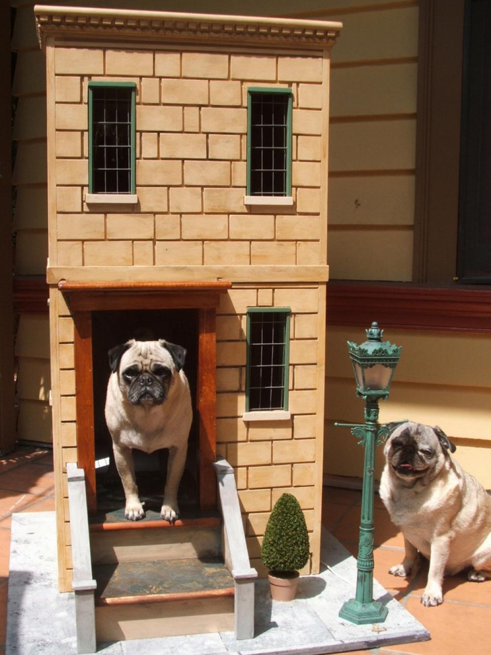 Two story dog house for pugs