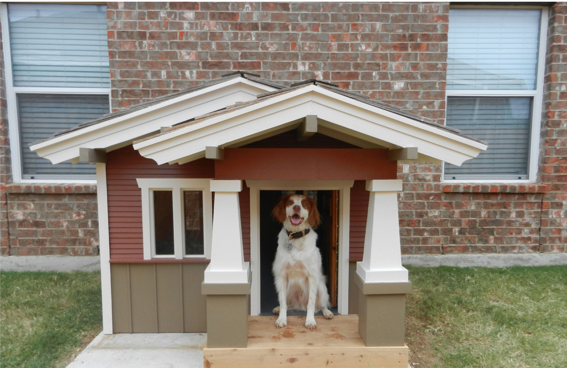 Luxury dog house