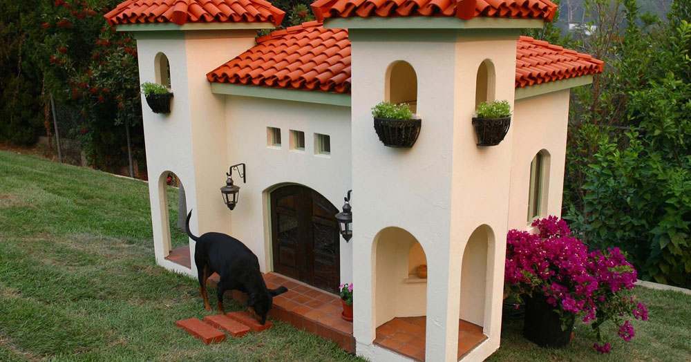 Adorable luxury dog house