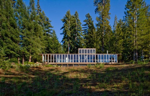 California Dream House In The Woods  (1)