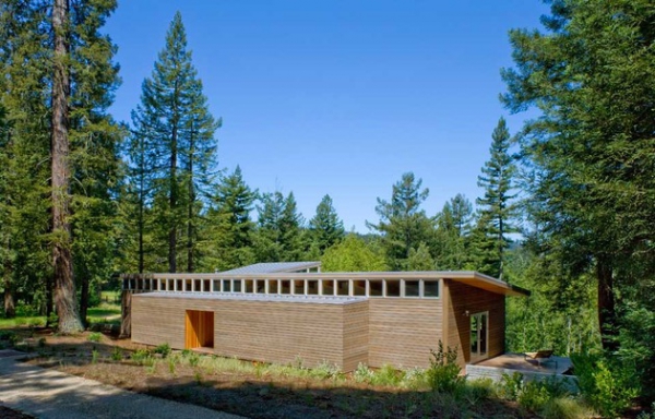 California Dream House In The Woods  (2)