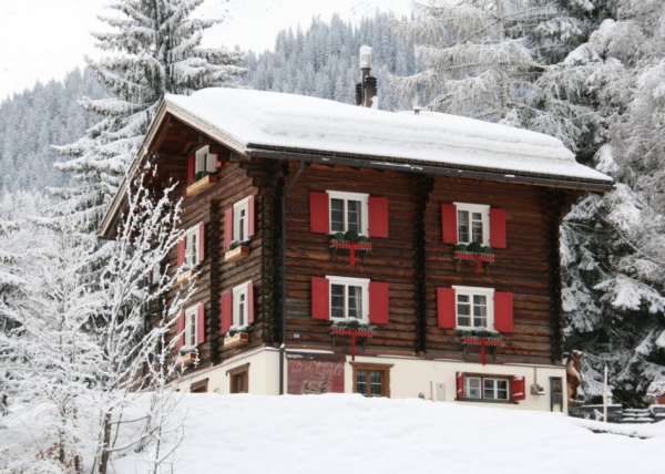 Cozy Chalet (1)