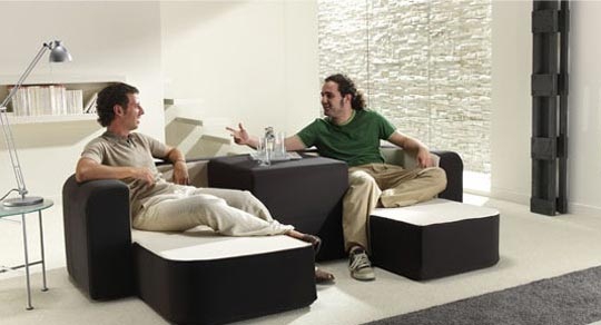 Contemporary Multifunction Sofa (1)