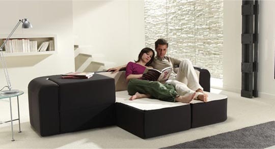 Contemporary Multifunction Sofa (2)