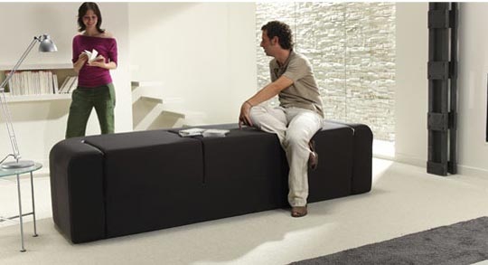 Contemporary Multifunction Sofa (3)