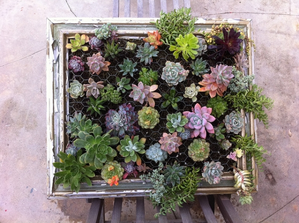 Diy-Vertical-Succulent-Garden-10