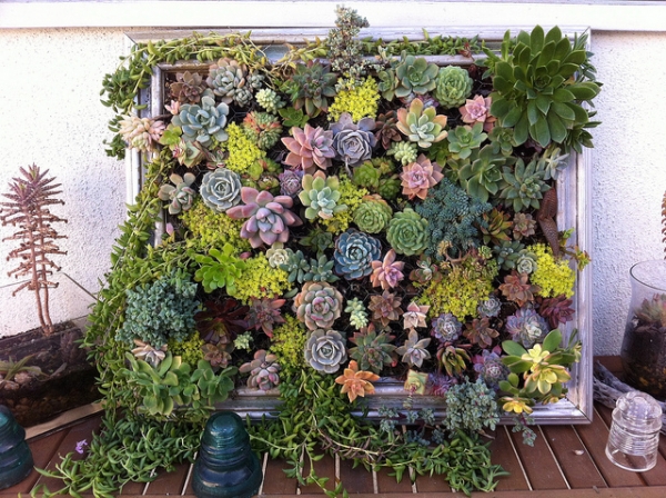 Diy-Vertical-Succulent-Garden-11