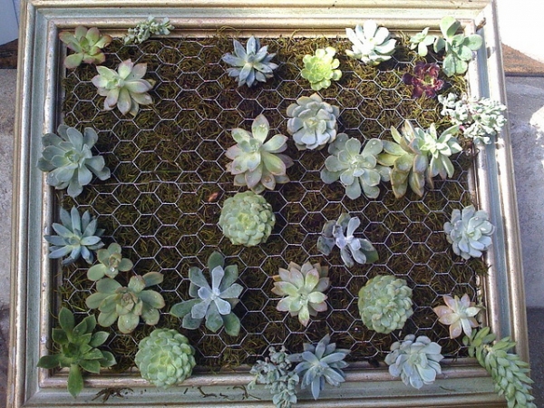 Diy-Vertical-Succulent-Garden-4