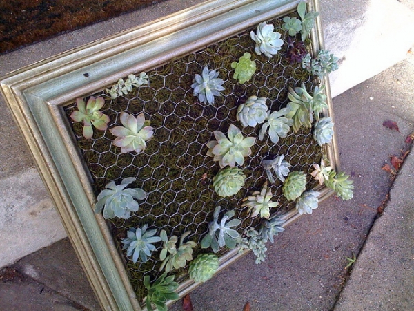 Diy-Vertical-Succulent-Garden-5