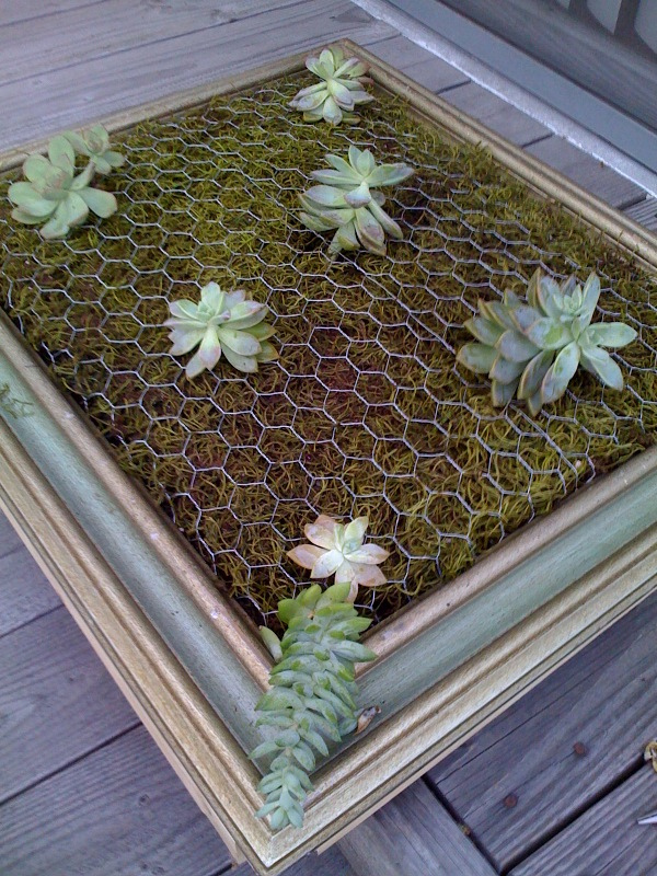 Diy-Vertical-Succulent-Garden-8