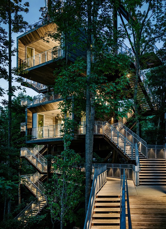 Element-Of-Play-In-This-Innovative-Tree-House-Design-1