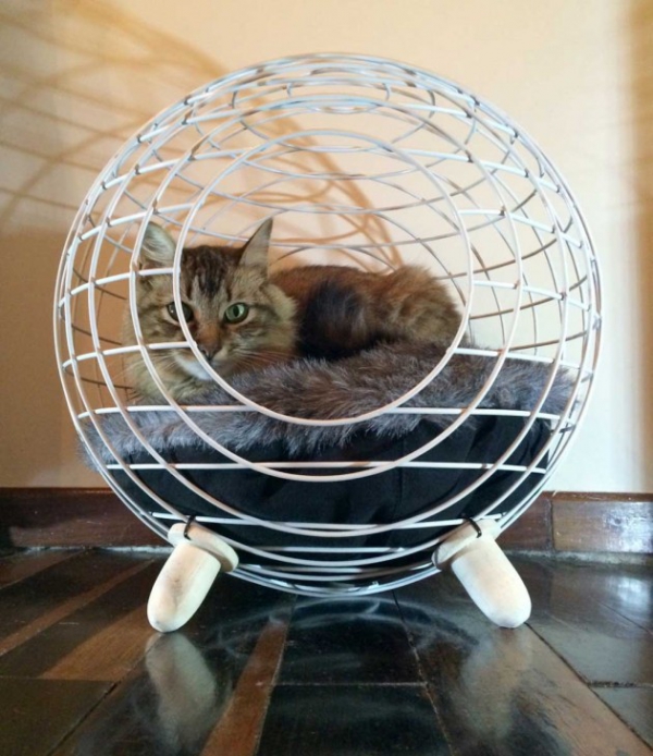 Modern Cat Bed (1)