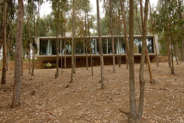 Chilean-Forest-House-6