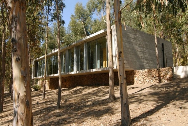 Chilean-Forest-House-7