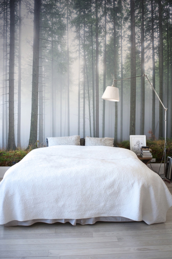 Forest Wall Murals For A Serene Home Decor  (4).Jpg