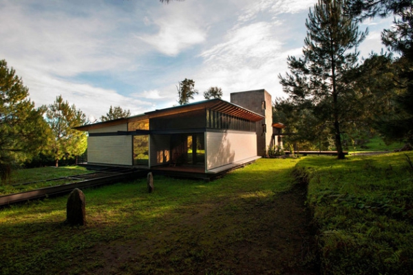 Mexican Forest House What Heaven Looks Like  (3)