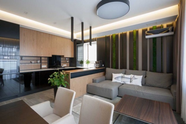 Modern Elegant Interior (2)