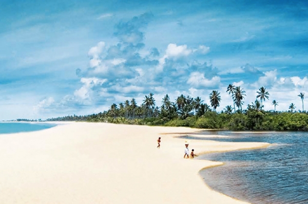 Praia-Do-Forte-Tropical-Resort-6