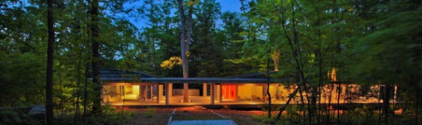 Glass Forest Home (3)