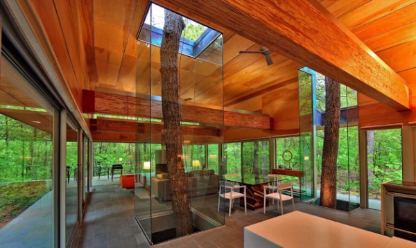 Glass Forest Home (4)