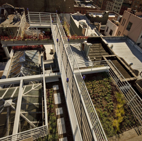 Roof-Garden-Oasis-5