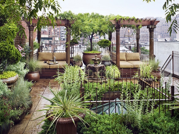 Rooftop-Garden-Oasis-8