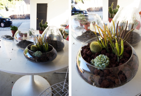 Simple-And-Beautiful-Diy-Terrarium-4