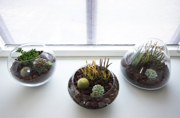 Simple-And-Beautiful-Diy-Terrarium-5