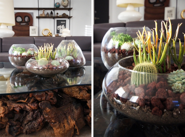 Simple-And-Beautiful-Diy-Terrarium-6