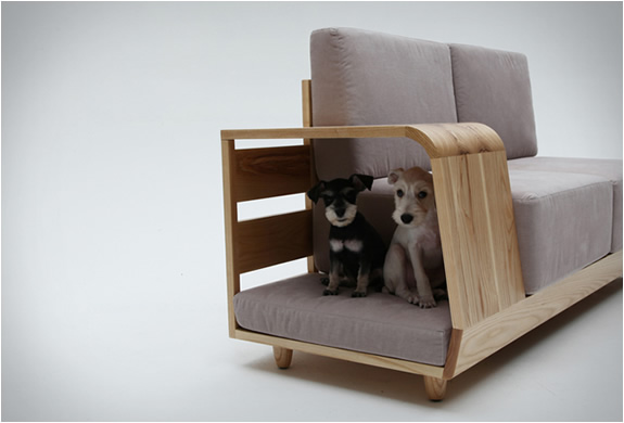 Sofa-Both-For-Humans-And-Dogs-2