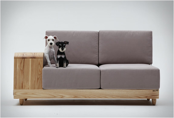 Sofa-Both-For-Humans-And-Dogs-3