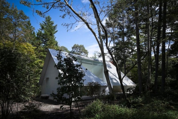 Take-A-Forest-Bath-In-This-Forest-Home-1