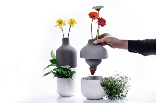 Taken Up A Level Bothles Multifunctional Vases (2)