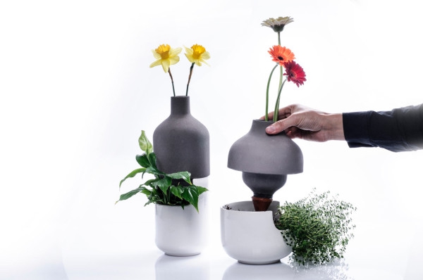 Taken Up A Level Bothles Multifunctional Vases (3)