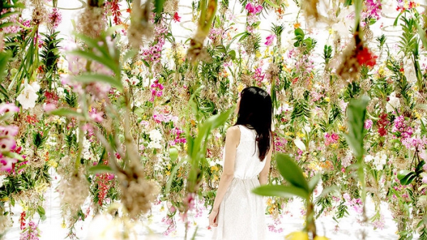 Suspended Garden By Teamlab (2).Jpg