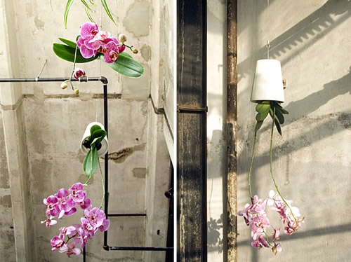 The Upside Down Plants Design That Will Change How You View Them Forever (1)