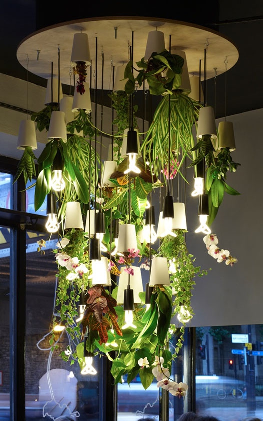 The Upside Down Plants Design That Will Change How You View Them Forever (14)