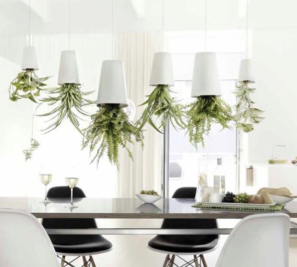 The Upside Down Plants Design That Will Change How You View Them Forever (9)