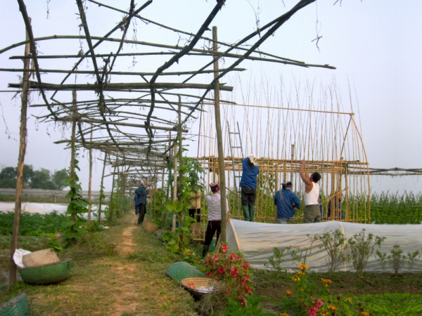 Think-Sustainable-With-This-Vegetable-Nursery-House-5